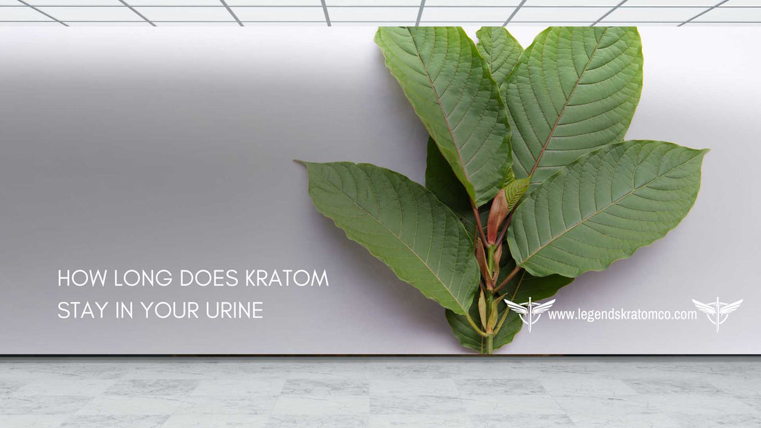 how long does kratom stay in your urine