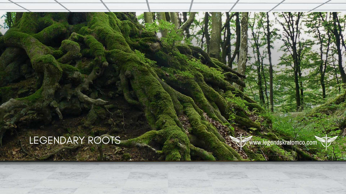 Legendary Kratom Roots