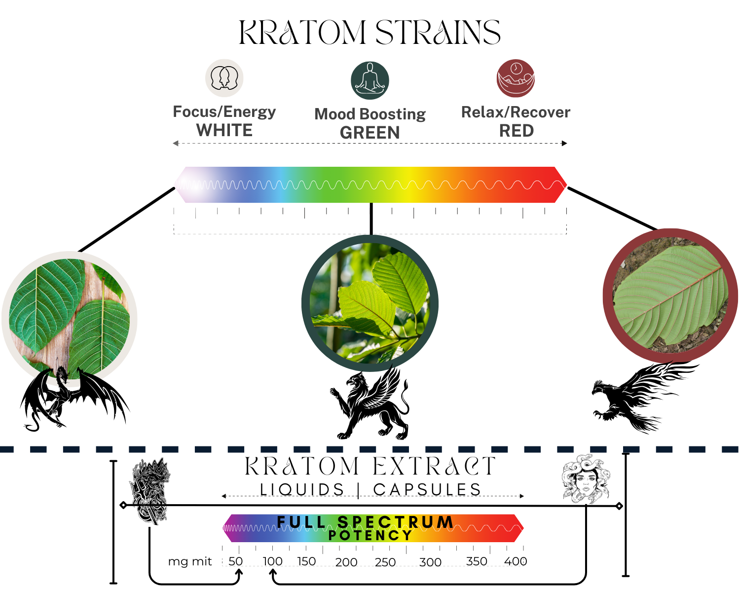 kratom strain chart